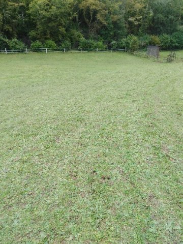 tonte parc Hauteville