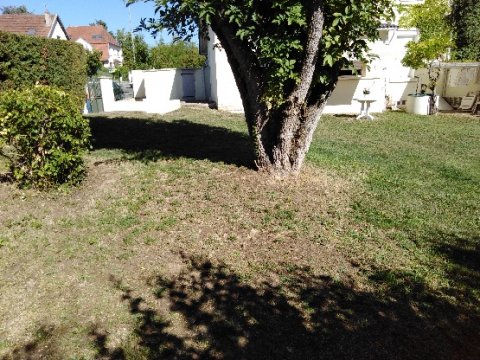remise  en état et tonte de jardin a breteniere