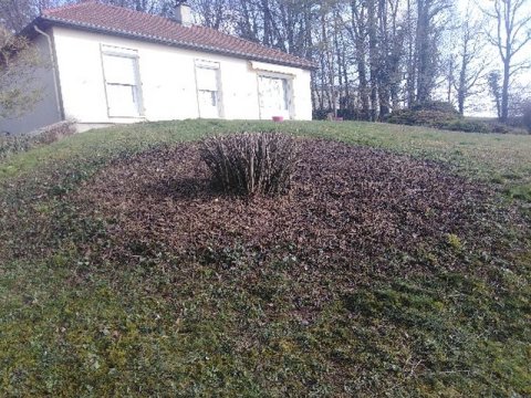 Préparez vos espaces verts pour le printemps avec William Sauvard, paysagiste à Dijon