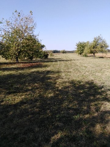 remise en etat parc 