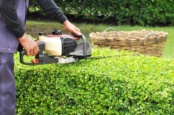 Jardinier pour la tonte de pelouse et taille de haies de jardin -Dijon - Monsieur WILLIAM SAUVARD