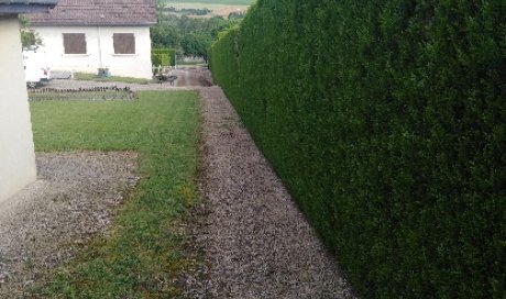 Taille de haies pour particuliers à Dijon