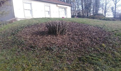Préparez vos espaces verts pour le printemps avec William Sauvard, paysagiste à Dijon