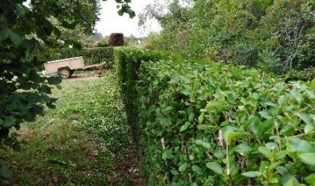 Entretien d'espaces verts - Dijon - Monsieur WILLIAM SAUVARD