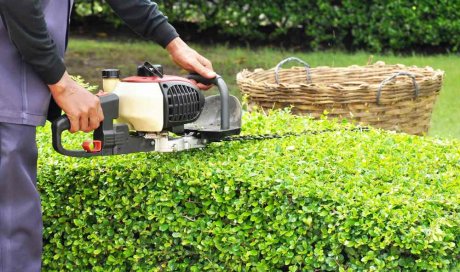 Jardinier pour la tonte de pelouse et taille de haies de jardin -Dijon - Monsieur WILLIAM SAUVARD