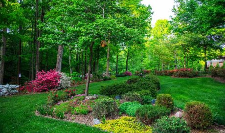 Paysagiste pour l'entretien d'un parc arboré - Dijon - Monsieur WILLIAM SAUVARD