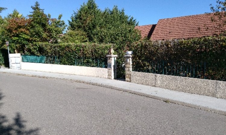 entretien de jardin et taille haie à dijon 