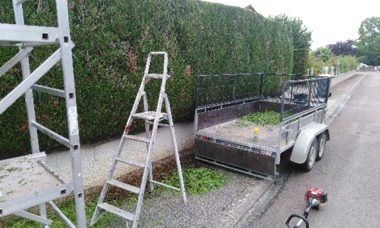 entretien de jardin et taille haie à dijon 