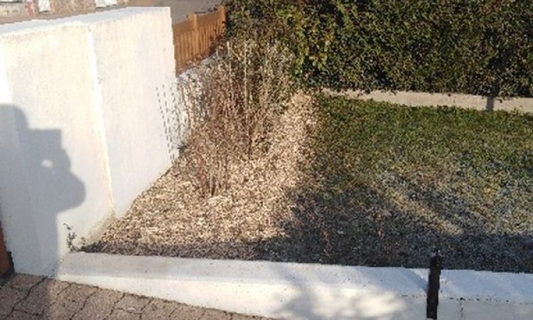 Préparez vos espaces verts pour le printemps avec William Sauvard, paysagiste à Dijon