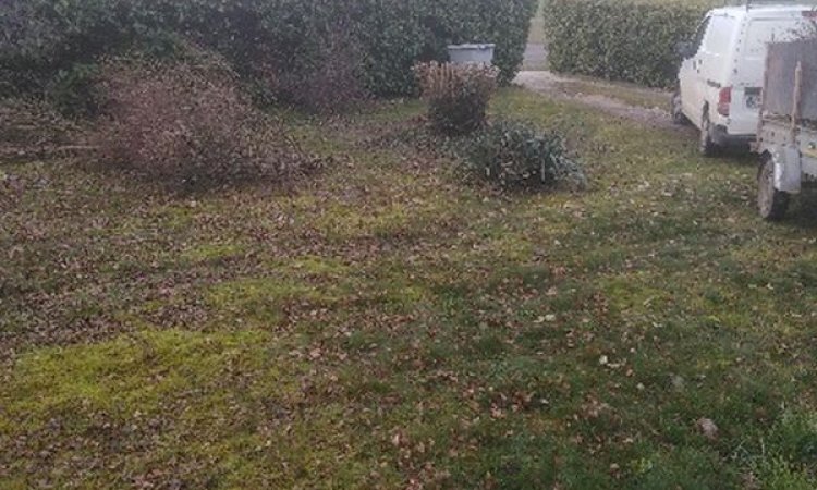 Préparez vos espaces verts pour le printemps avec William Sauvard, paysagiste à Dijon