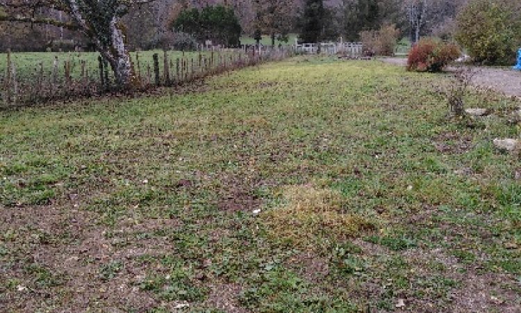 TONTE GRANDS PARCS MESSIGNY