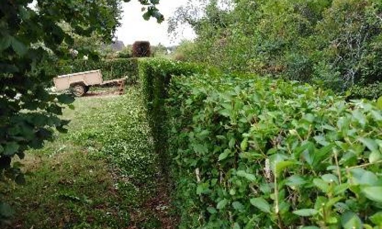 Entretien d'espaces verts - Dijon - Monsieur WILLIAM SAUVARD