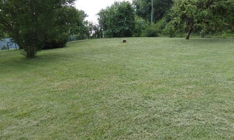 Entretien d'espaces verts - Dijon - Monsieur WILLIAM SAUVARD