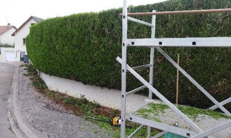 Entretien d'espaces verts - Dijon - Monsieur WILLIAM SAUVARD