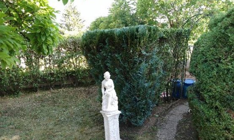 Entretien d'espaces verts - Dijon - Monsieur WILLIAM SAUVARD