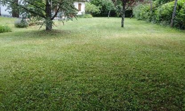 Entretien d'espaces verts - Dijon - Monsieur WILLIAM SAUVARD