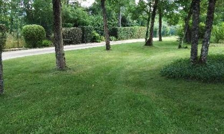 Entretien d'espaces verts - Dijon - Monsieur WILLIAM SAUVARD