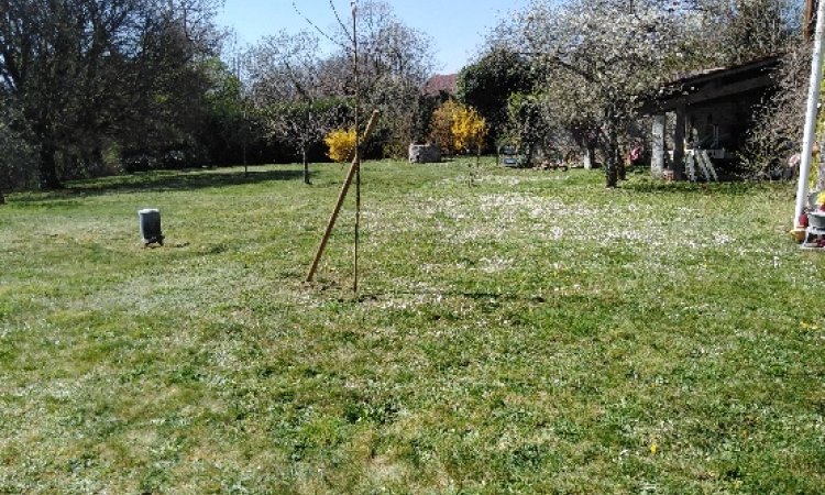 TONTE GRANDS PARCS MESSIGNY
